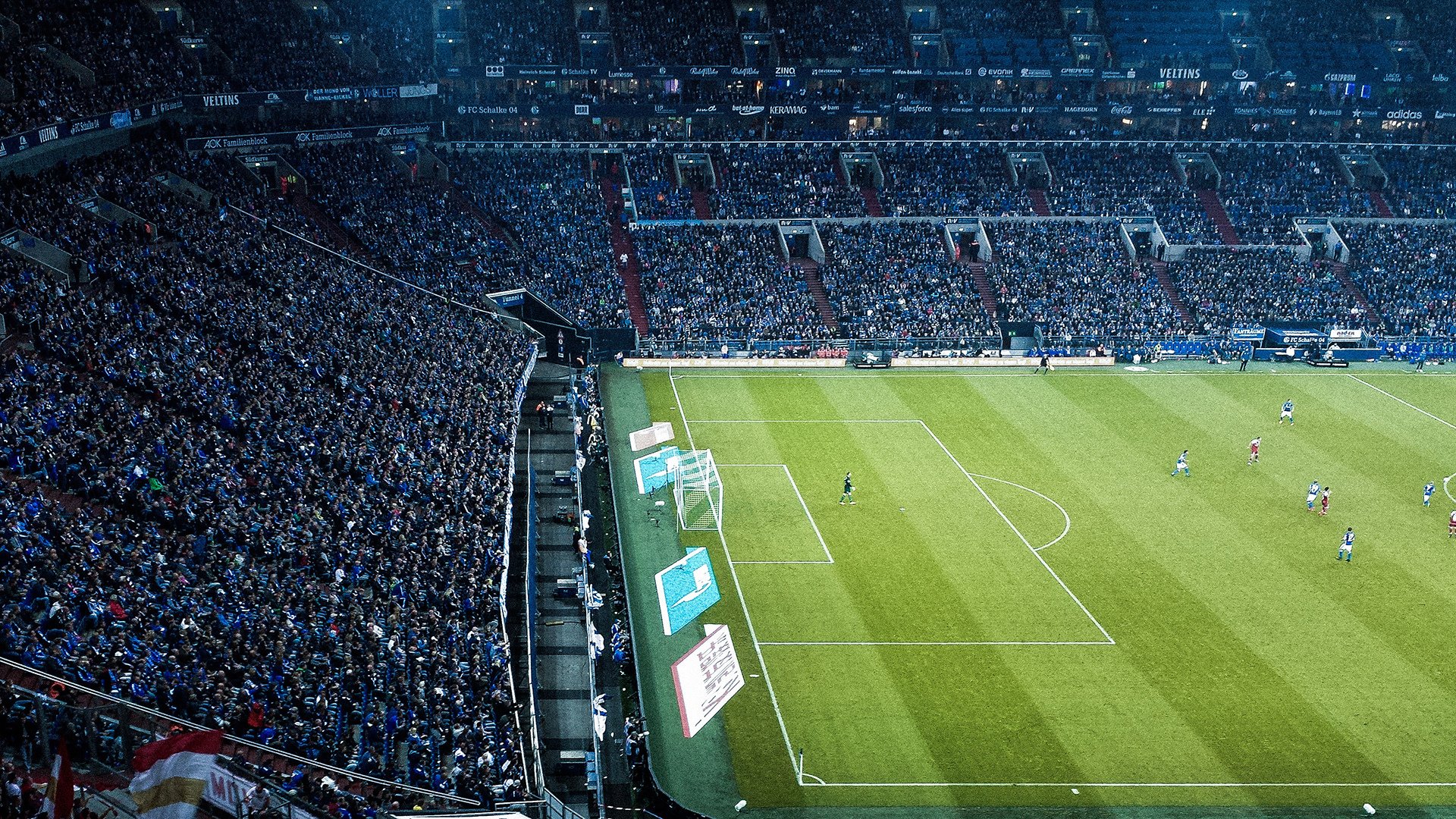 “东桃花岛：缆绳滑水赛场极速对决，观众激情四溢”